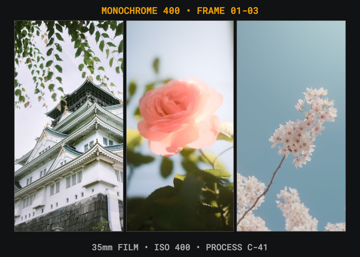 BatchPad 35mm Proof Sheet preset places a castle, rose and blossom branch in three similarly sized vertical frames.