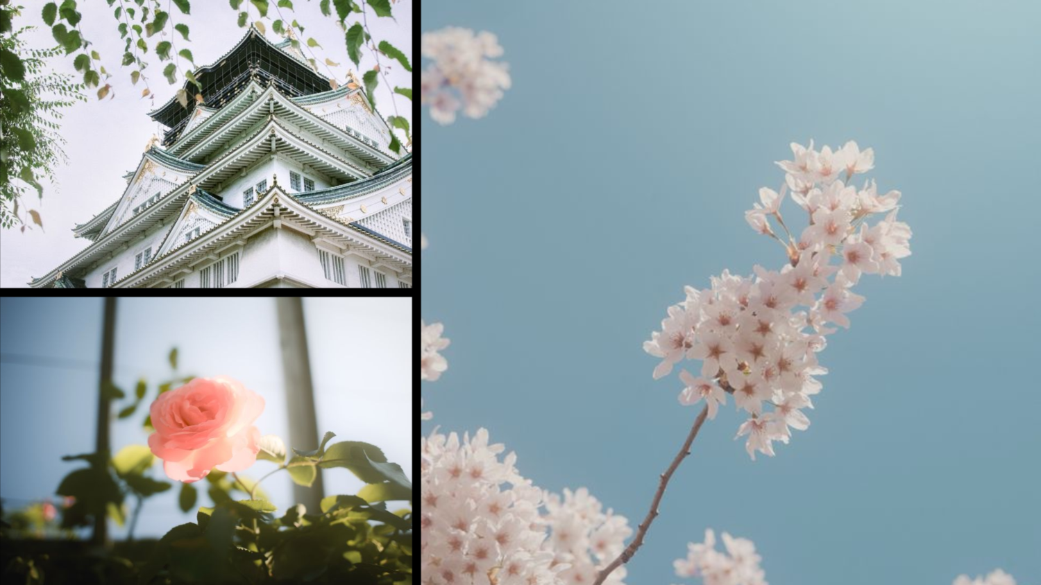 BatchPad YouTube Thumbnail preset places the castle and rose in smaller left panels and gives the blossom branch a large right panel.