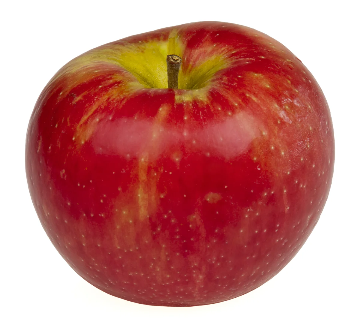 Ripe Honeycrisp apple showing distinct lenticels (sugar freckles)